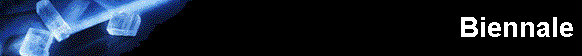  Biennale 
